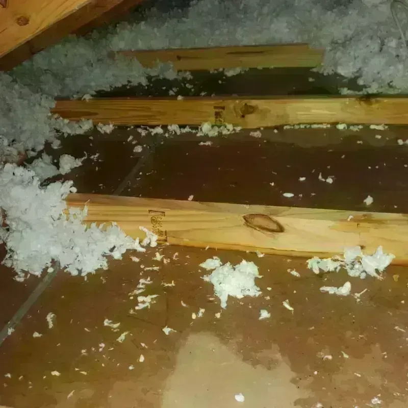 Attic Water Damage in Carolina Beach, NC