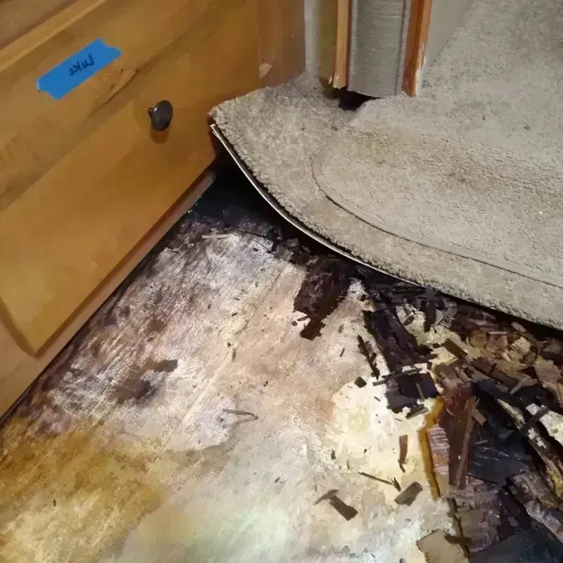 Wood Floor Water Damage in Carolina Beach, NC